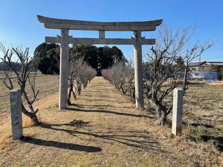 天満神社(滋賀県)