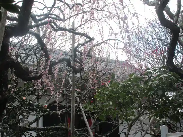 宝戒寺(神奈川県)