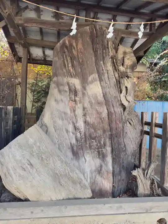 白岡八幡神社(埼玉県)