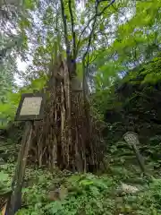 加蘇山神社 奥ノ宮の自然