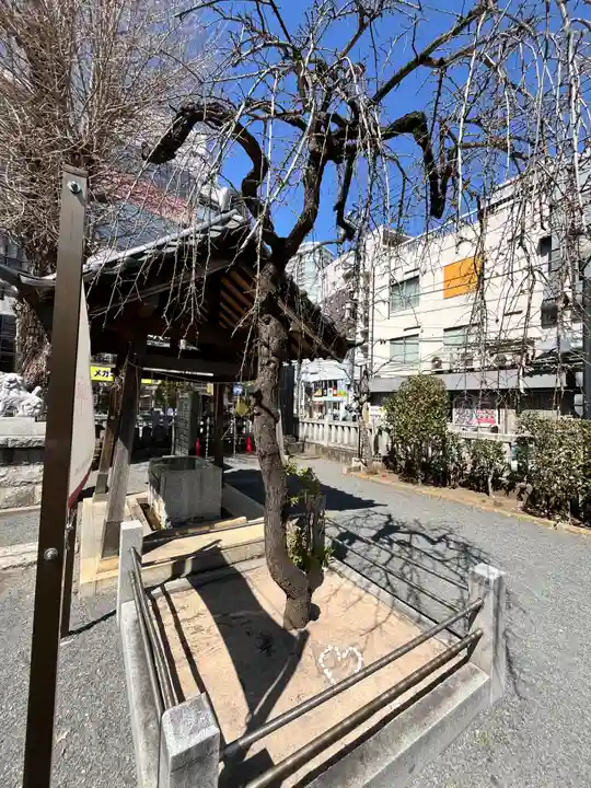 柏神社(千葉県)