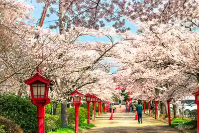 涼ケ岡八幡神社(福島県)