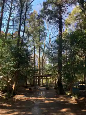 白幡神社(千葉県)