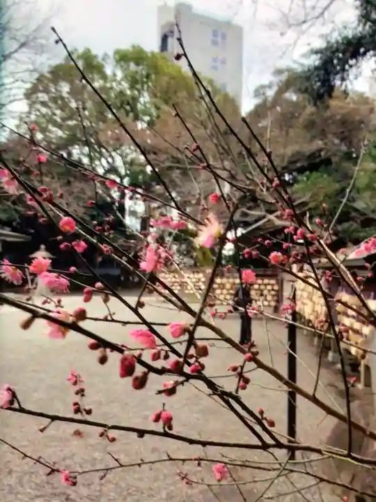 乃木神社(東京都)