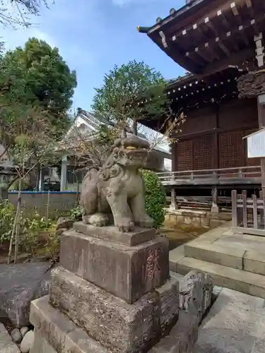 白山神社の狛犬