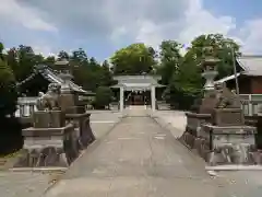 富永神社の狛犬