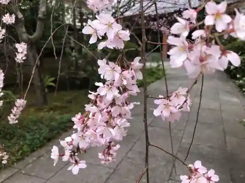 徳泉寺の{uncategorized: "未分類", other: "その他", undefined: "問題あり", building: "その他建物", grave: "お墓", sacred_gate: "鳥居", guardian: "狛犬", statue: "像", buddha: "仏像", history: "歴史", nature: "自然", garden: "庭園", animal: "動物", pagoda: "塔", temizu: "手水舎", mountain_gate: "山門・神門", sanctuary: "本殿・本堂", subordinate: "末社・摂社", art: "芸術", scenery: "景色", jizo: "地蔵", ema: "絵馬", goshuin: "御朱印", omikuji: "おみくじ", items: "授与品その他", amulet: "お守り", goshuincho: "御朱印帳", eats: "食事", festival: "お祭り", votive_dance: "神楽", shichigosan: "七五三参", wedding: "結婚式", experience: "体験その他", initially: "初詣", around: "周辺", anti_infection: "感染症対策"}