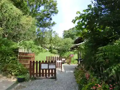 般若寺 ❁﻿コスモス寺❁(奈良県)