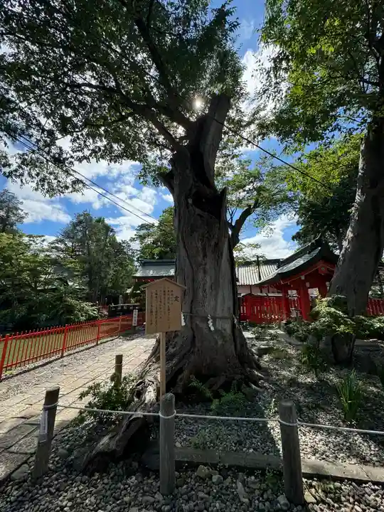 生島足島神社(長野県)