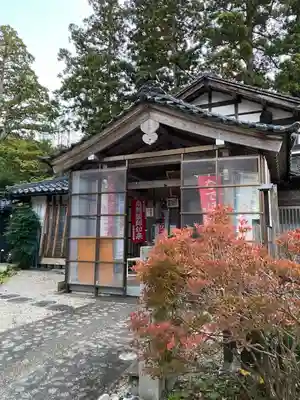 雪囲いの金城寺と紅葉したドウダンツツジ