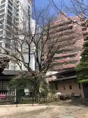 金王八幡宮(東京都)