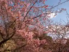 楽法寺（雨引観音）の自然