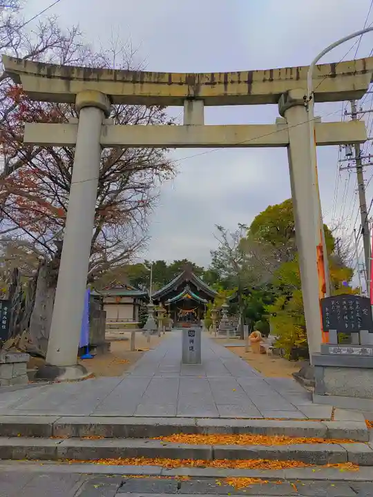 寺津八幡社(寺津町)の鳥居