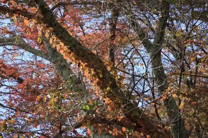 長屋神社の自然