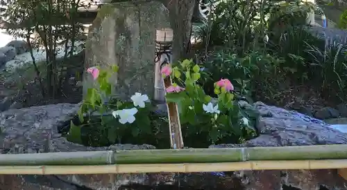 阿智神社(岡山県)