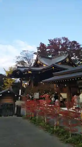 行田八幡神社の本殿