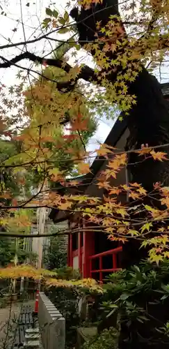 三田春日神社の自然