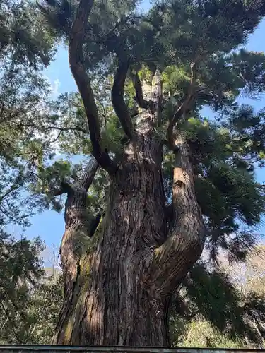 若狭姫神社（若狭彦神社下社）(福井県)