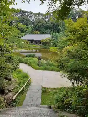 浄瑠璃寺(京都府)