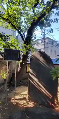 千住氷川神社(東京都)