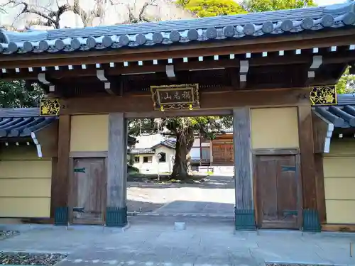 道仁寺の山門