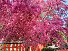 玉津島神社の自然