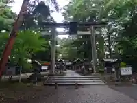 蠶養國神社の鳥居