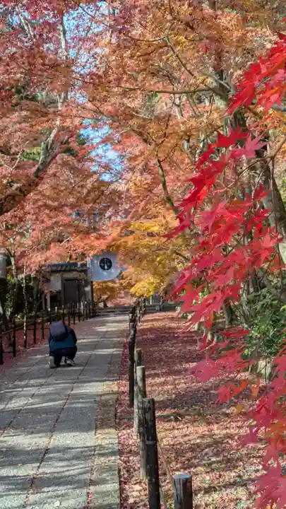 光明寺(粟生光明寺)(京都府)