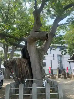 阿邪訶根神社(福島県)