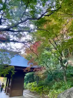 普門寺(切り絵御朱印発祥の寺)(愛知県)