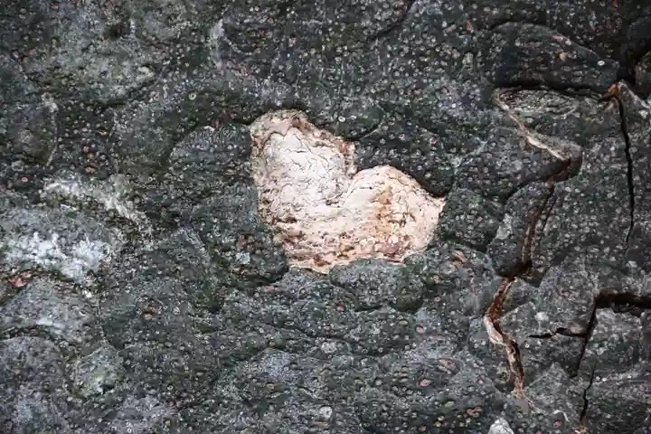 愛宕神社の自然