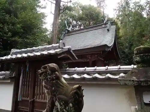 大歳神社の狛犬