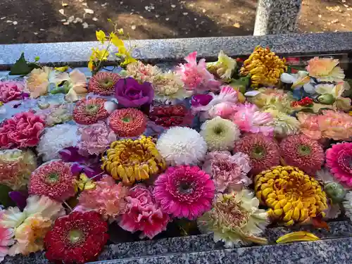 久保稲荷神社(埼玉県)