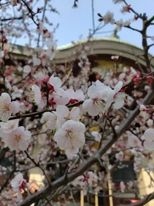 諏訪神社の自然