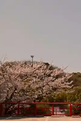 大山神社（自転車神社・耳明神社）の景色
