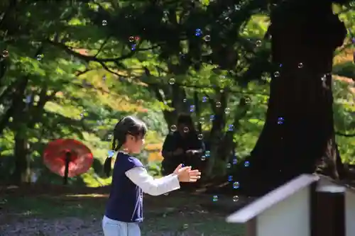 土津神社｜こどもと出世の神さまの体験その他