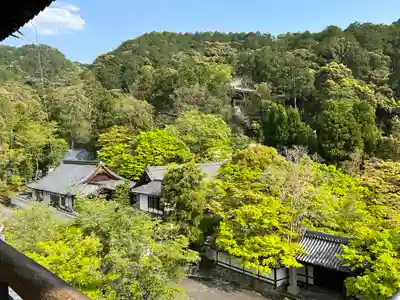 南禅寺(京都府)