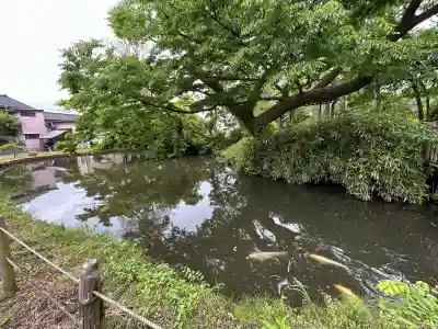 府中八幡宮(新潟県)