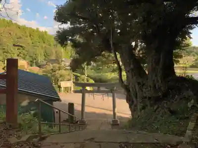 又見神社（香取神宮摂社）(千葉県)