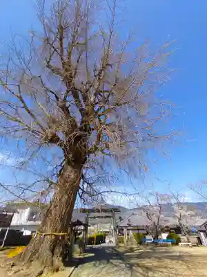 丹生酒殿神社(和歌山県)