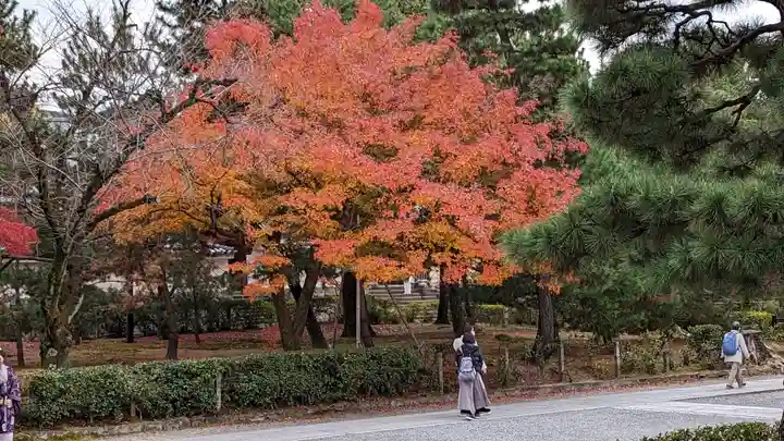 建仁寺(建仁禅寺)(京都府)
