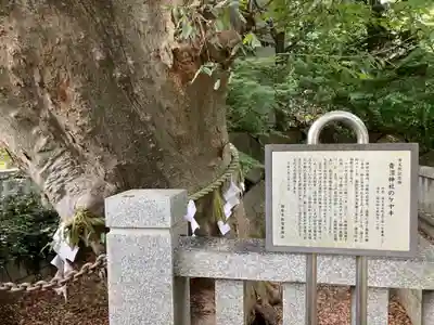 青渭神社(東京都)