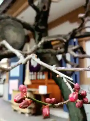 穏田神社(東京都)