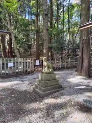宝登山神社奥宮(埼玉県)