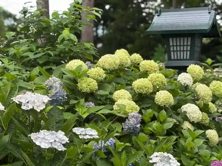 西野神社(北海道)