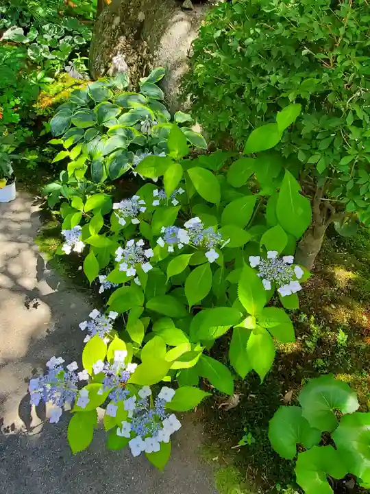 長命寺(福島県)
