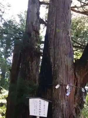 日光二荒山神社(栃木県)