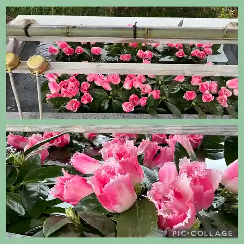 豊景神社(福島県)