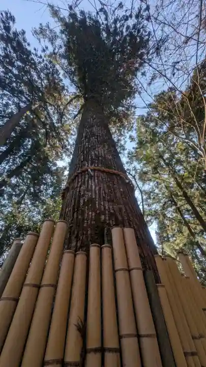 水澤寺(水澤観世音)の{uncategorized: "未分類", other: "その他", undefined: "問題あり", building: "その他建物", grave: "お墓", sacred_gate: "鳥居", guardian: "狛犬", statue: "像", buddha: "仏像", history: "歴史", nature: "自然", garden: "庭園", animal: "動物", pagoda: "塔", temizu: "手水舎", mountain_gate: "山門・神門", sanctuary: "本殿・本堂", subordinate: "末社・摂社", art: "芸術", scenery: "景色", jizo: "地蔵", ema: "絵馬", goshuin: "御朱印", omikuji: "おみくじ", items: "授与品その他", amulet: "お守り", goshuincho: "御朱印帳", eats: "食事", festival: "お祭り", votive_dance: "神楽", shichigosan: "七五三参", wedding: "結婚式", experience: "体験その他", initially: "初詣", around: "周辺", anti_infection: "感染症対策"}