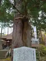 飛不動尊(宮城県)